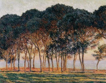  Tag Galerie - unter Pinien am Ende des Tages Claude Monet